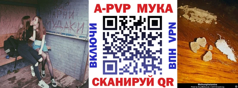kraken маркетплейс  Елизаветинская  Alfa_PVP СК 