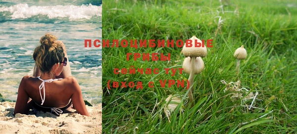 герыч Осинники